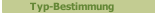 Typ-Bestimmung