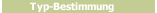 Typ-Bestimmung