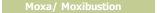 Moxa/ Moxibustion